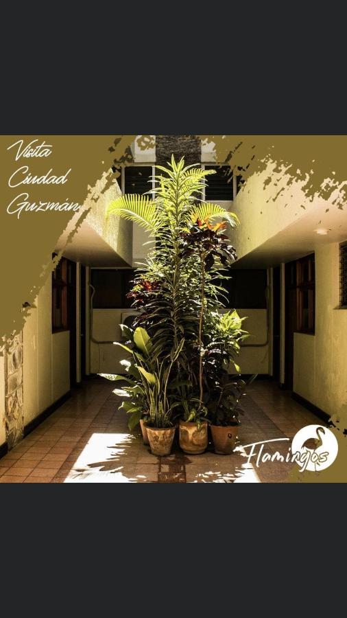 Hotel Flamingos De Ciudad Guzman Ngoại thất bức ảnh